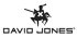 David Jones